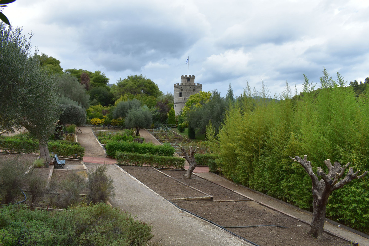 Βοτανικός Κήπος