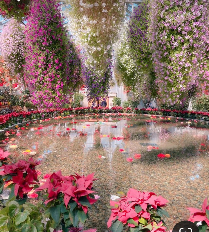 Screenshot_20240331_163615_Pinterest