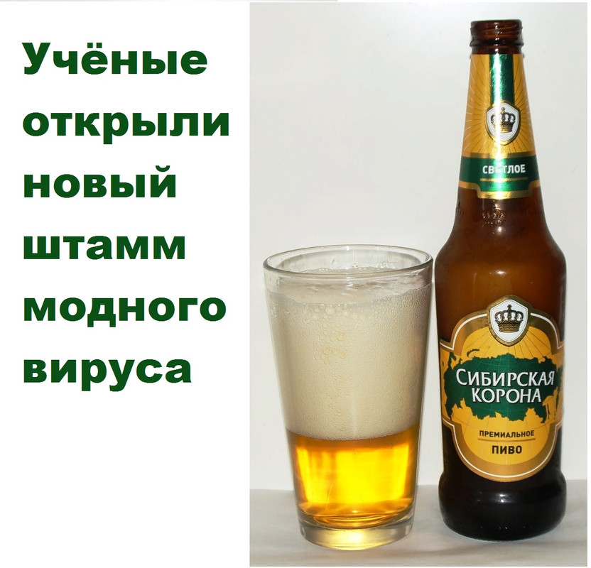 Сибирская корона