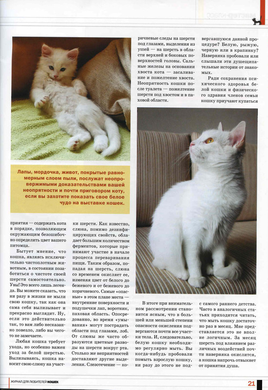 Друг кошек № 10 2010-22