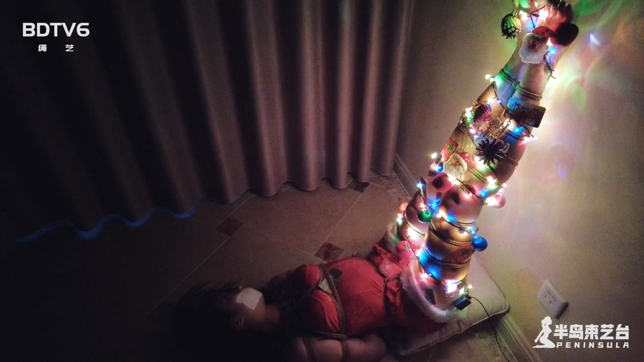 半岛束艺 上帝的名义：圣诞腿 伊莱娜.mp4_20201226_135057.054