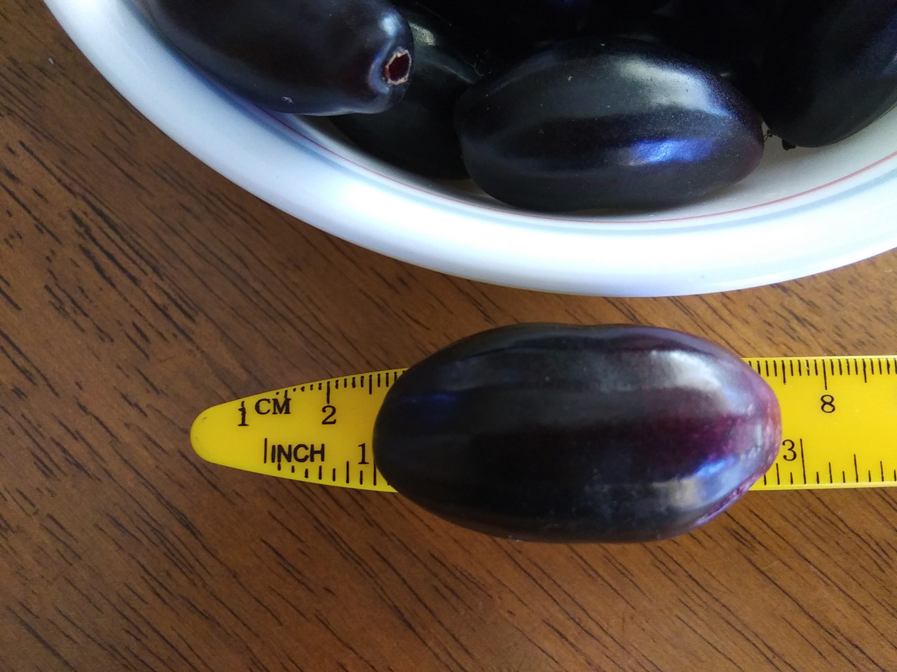 java plum fruit size (1)