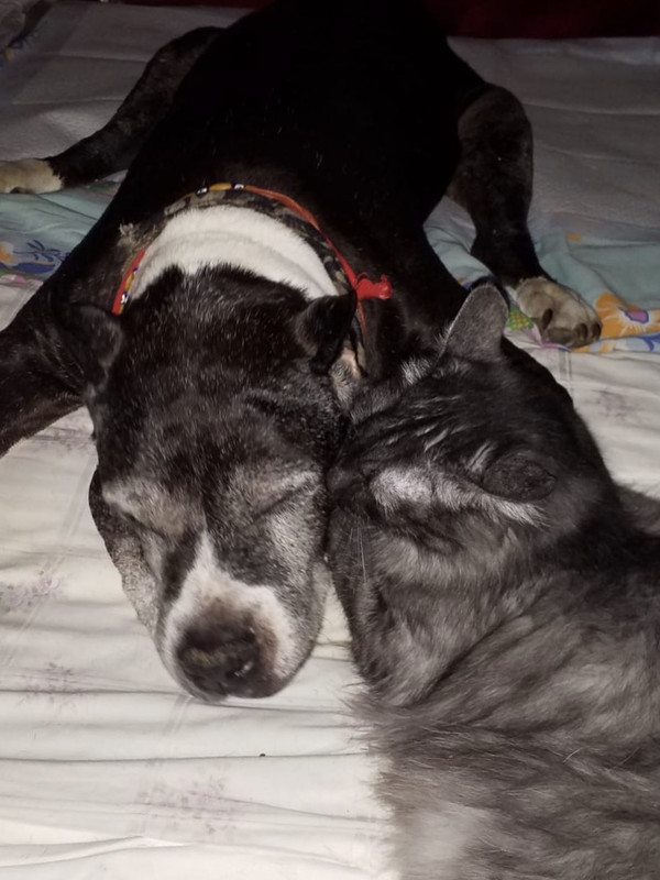 245E0E00-95DA-42B5-872A-BB9337FBE01B