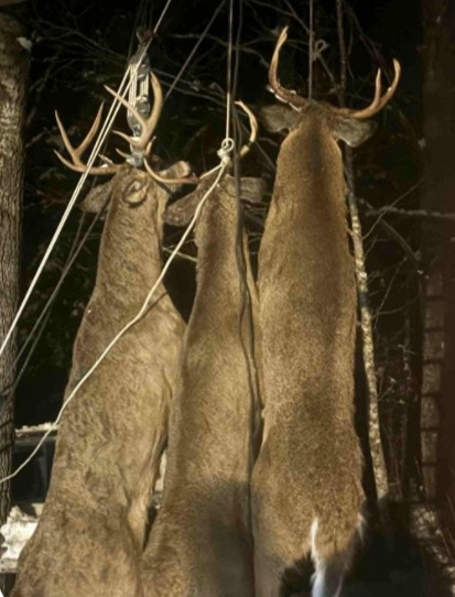 Screenshot 20251119 185525 Messenger