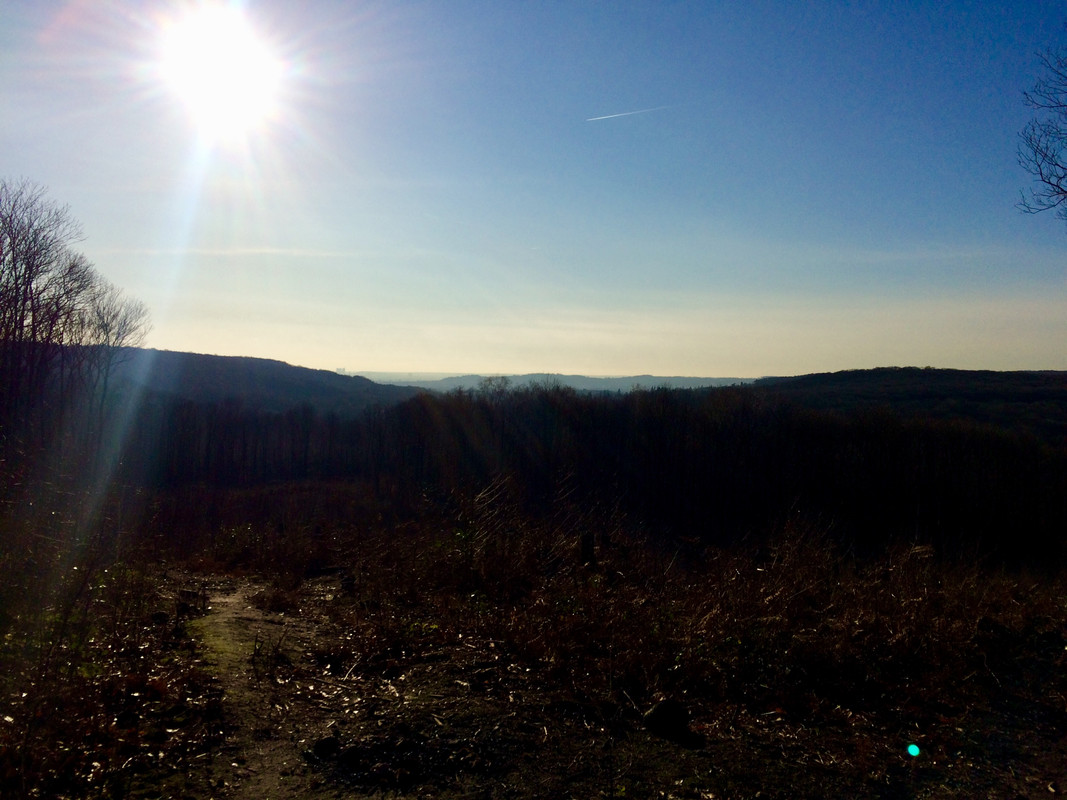 B96A5D82-D80B-4388-814F-6D3DAF2E1782