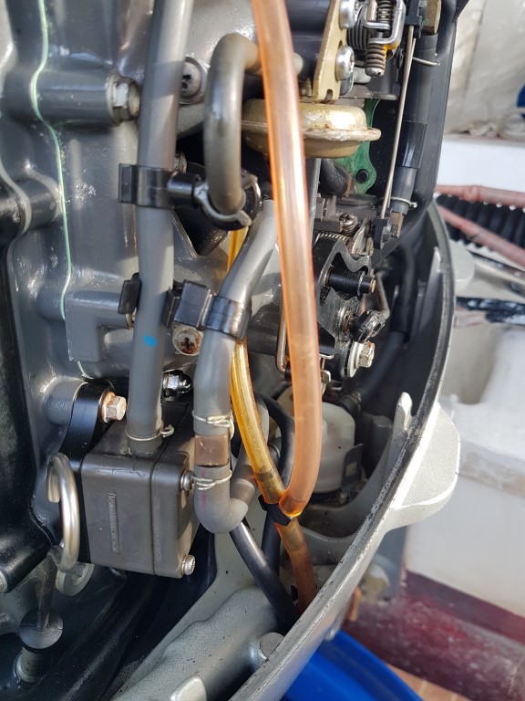 20201113_165228 (Medium)