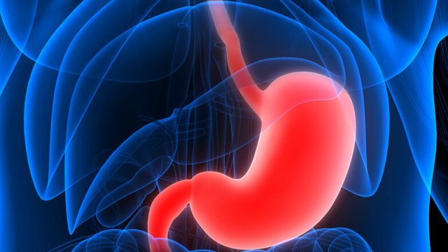 stomach-cancer-hero-782x440-1.jpg
