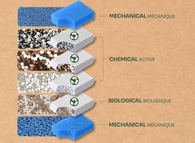 20240221170439-DZq2Ng3j_resize-w-690_kar-1_q-100