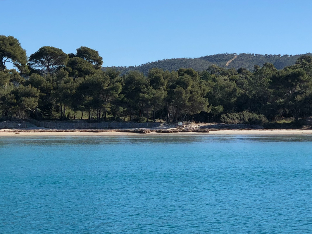 D52F9798-1B10-4E20-A108-259D371F219C