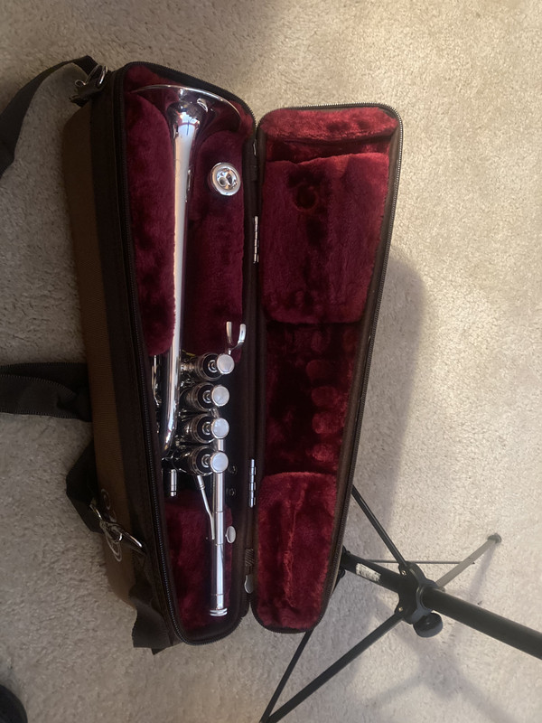 Picc Single Case