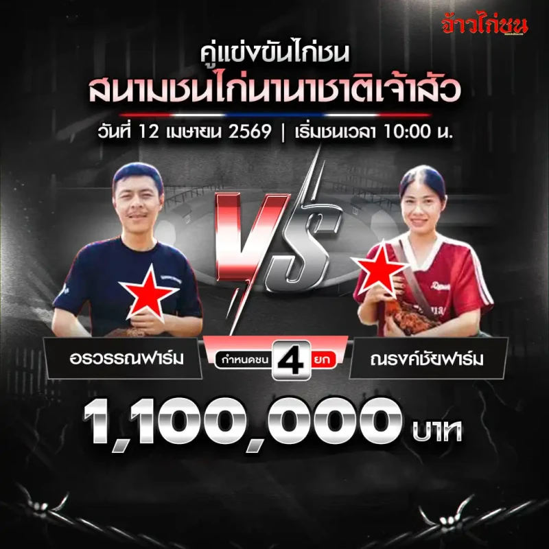 โปรแกรมไก่ชน สนามนานาชาติเจ้าสัว 12 เมษายน 2569 อรวรรณฟาร์ม vs ณรงค์ชัยฟาร์ม