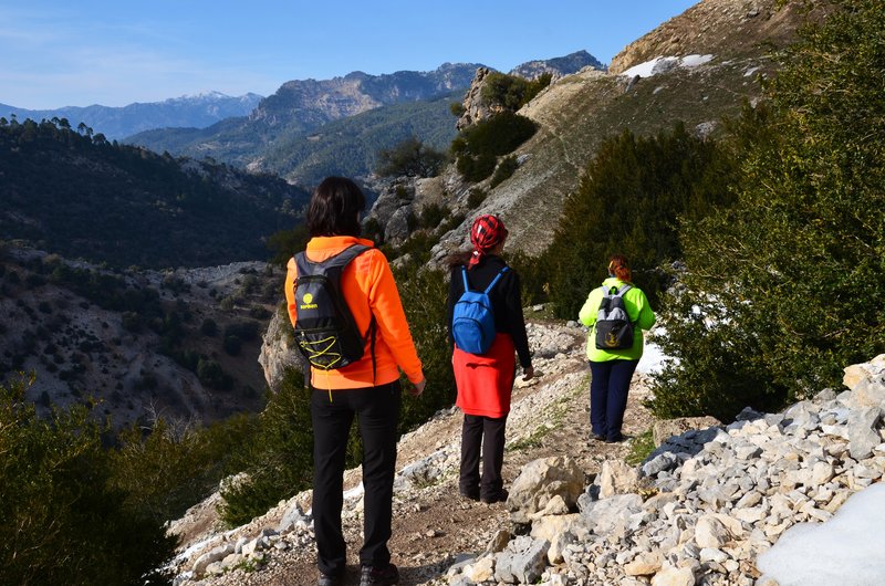 RUTA RIO BOROSA-12-3-2016-JAEN - Paseando por España-1991/2016 (179)