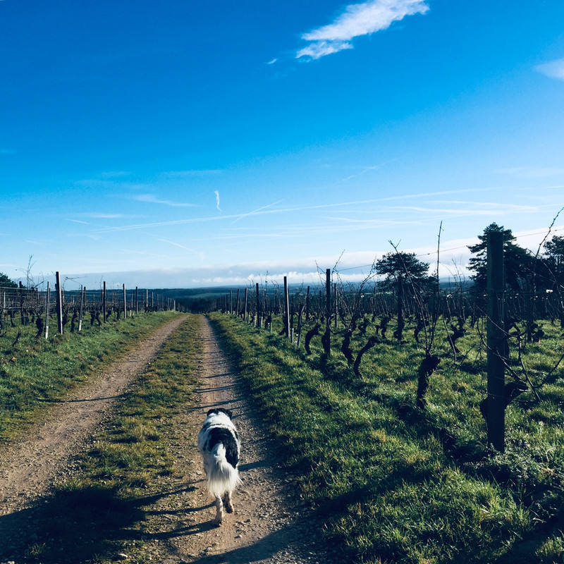 A82EB92B-8E98-4446-8460-CBBDCA63731E