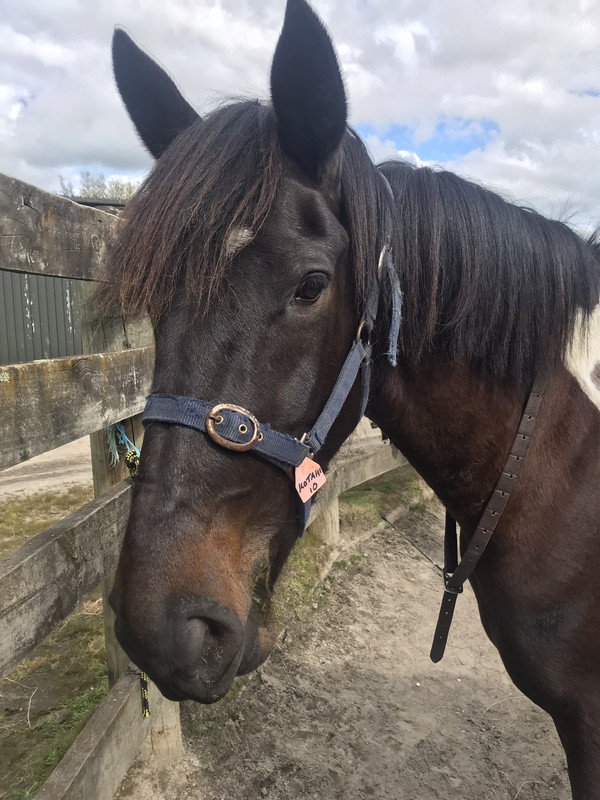 5AE464FF-8B90-49E1-B550-EAF15D332412