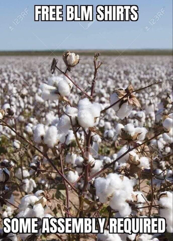 6B431B04-7AC8-42E7-ABE0-707920E7F5BB