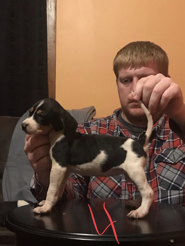 5CCDA2EE-1036-4B9A-B102-220E3C79F922