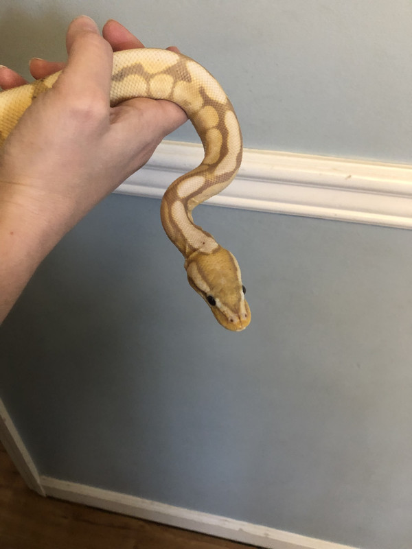 6C438C19-B20E-4246-BCFB-EB3BCC5EF3B3