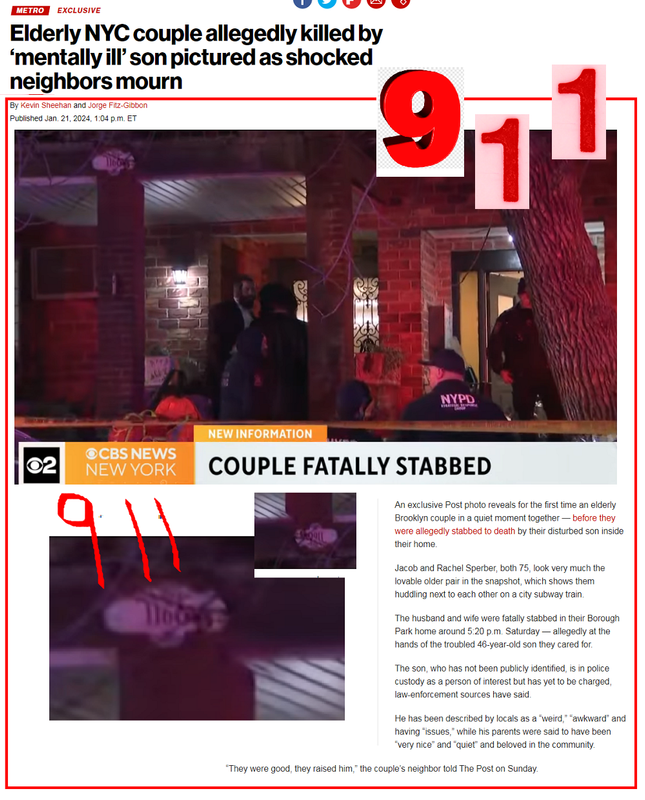 https://i.postimg.cc/2S4pjN9n/9161.png