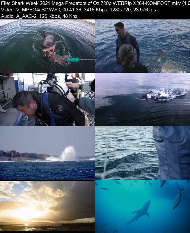 shark-week-2021-mega-predators-of-oz-720