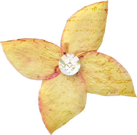Siempre Libre & Glitters y Gifs Animados Nº341 - Página 3 NLD-Dried-flower-2
