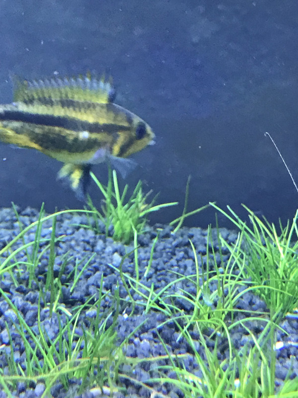 E2552308-F344-4512-B022-DFBED5BED0EB