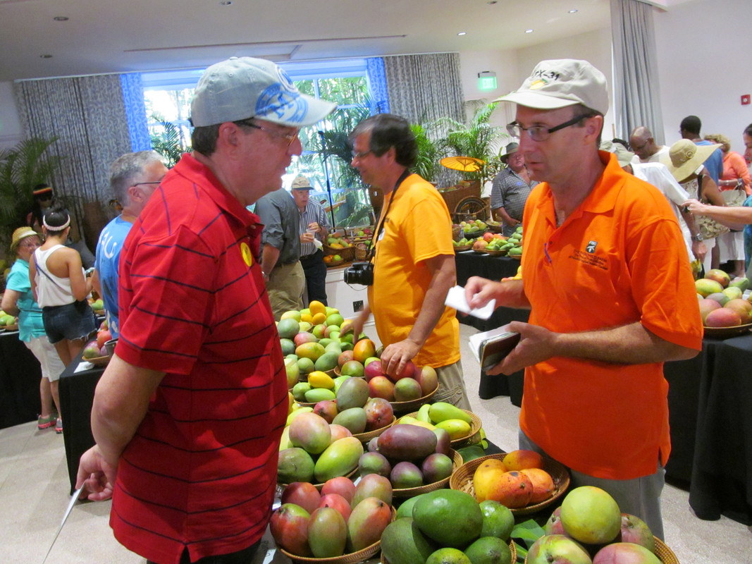 MangoFest2015 001