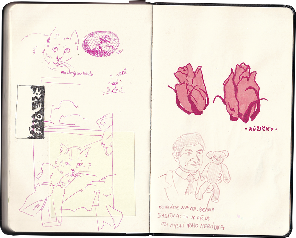 cerny-new74.png