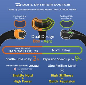 Dual-Optimum-System-300x297.jpg