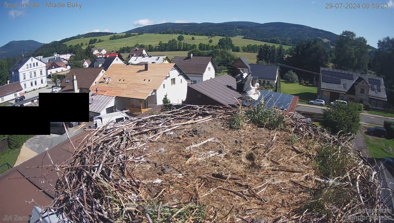 Tiešraides kamera — Mladé Buky — stārķa ligzda 11-22-0 screenshot