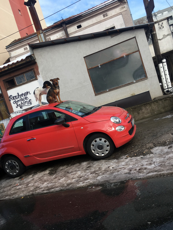 31FEDD53-3EBA-4F37-8A21-556872E06714