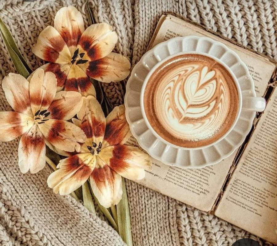 Screenshot_20230408_000535_Pinterest