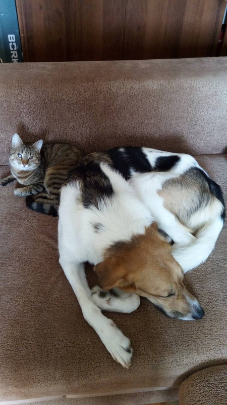 IMG-3620d21c8ba7e80e1bde768c3a8ee5c7-V