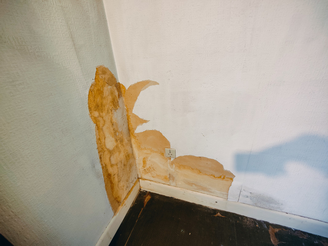 IMG20250104115233_051604