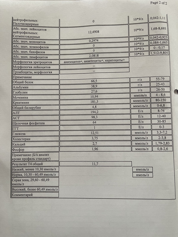 C6D4886E-9276-4F0F-B68B-5EA551B49ED6