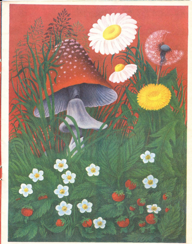 Mogilevskaja-Sofa-Sem-raznocvetnyh-skazok-1981-08