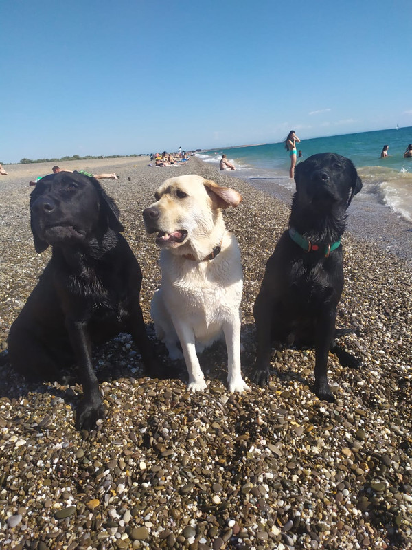 WhatsApp Image 2020-07-23 at 19.48.18(1)