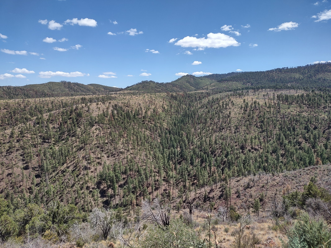 IMG_20250704_134523701_HDR