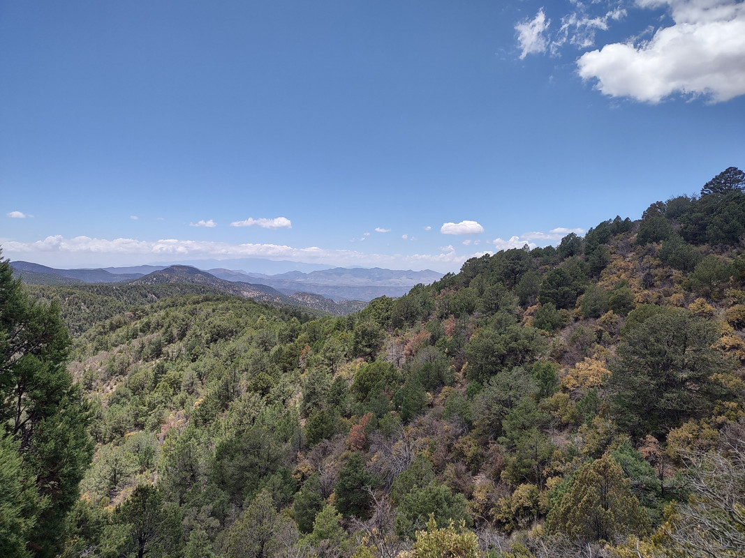 IMG_20250704_122446676_HDR
