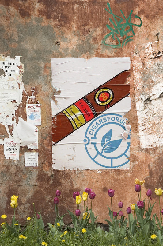 PhotoFunia-1604335709