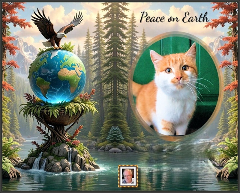 MOOIE-KATER-2