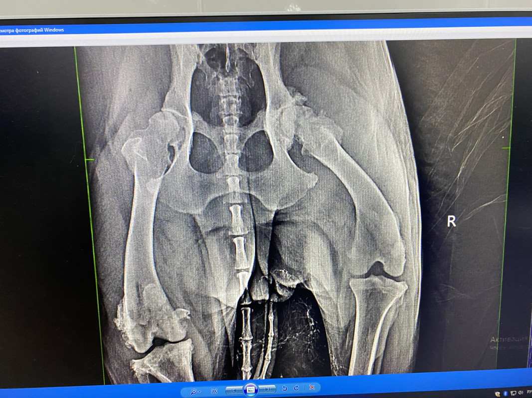 24FA0CB0-374B-4C75-A308-3E72FD15BB21