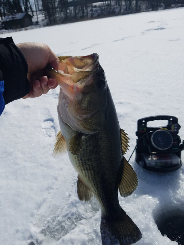 20190307_105041