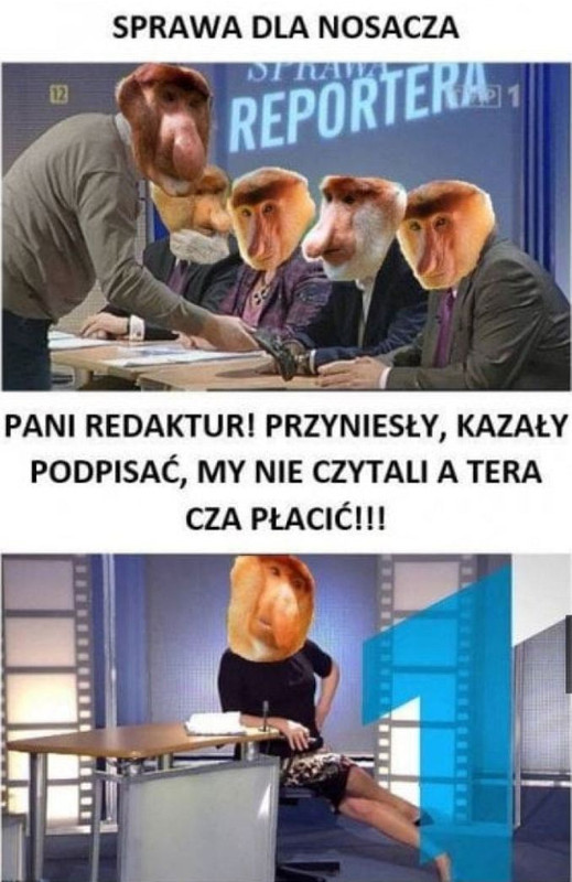 2025-07-03-01-00-29-sprawa-dla-nosacza-S