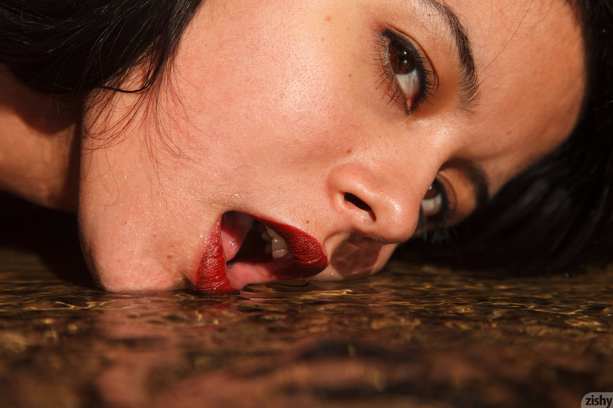 full_019_1040431110116168