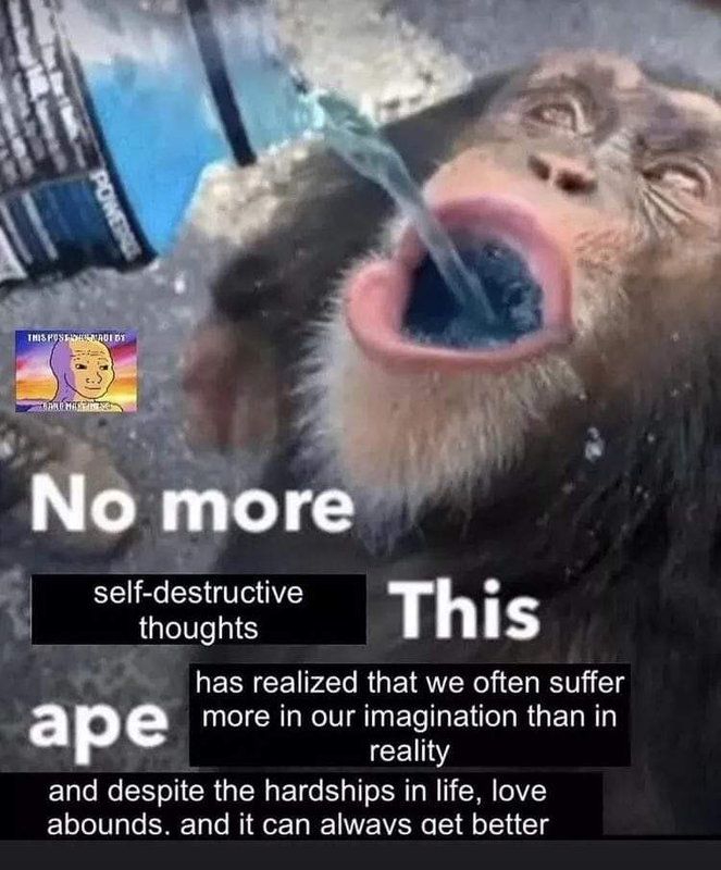1691569112716197.png