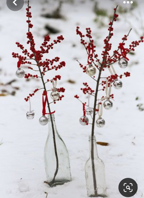 Screenshot_20230515_223317_Pinterest