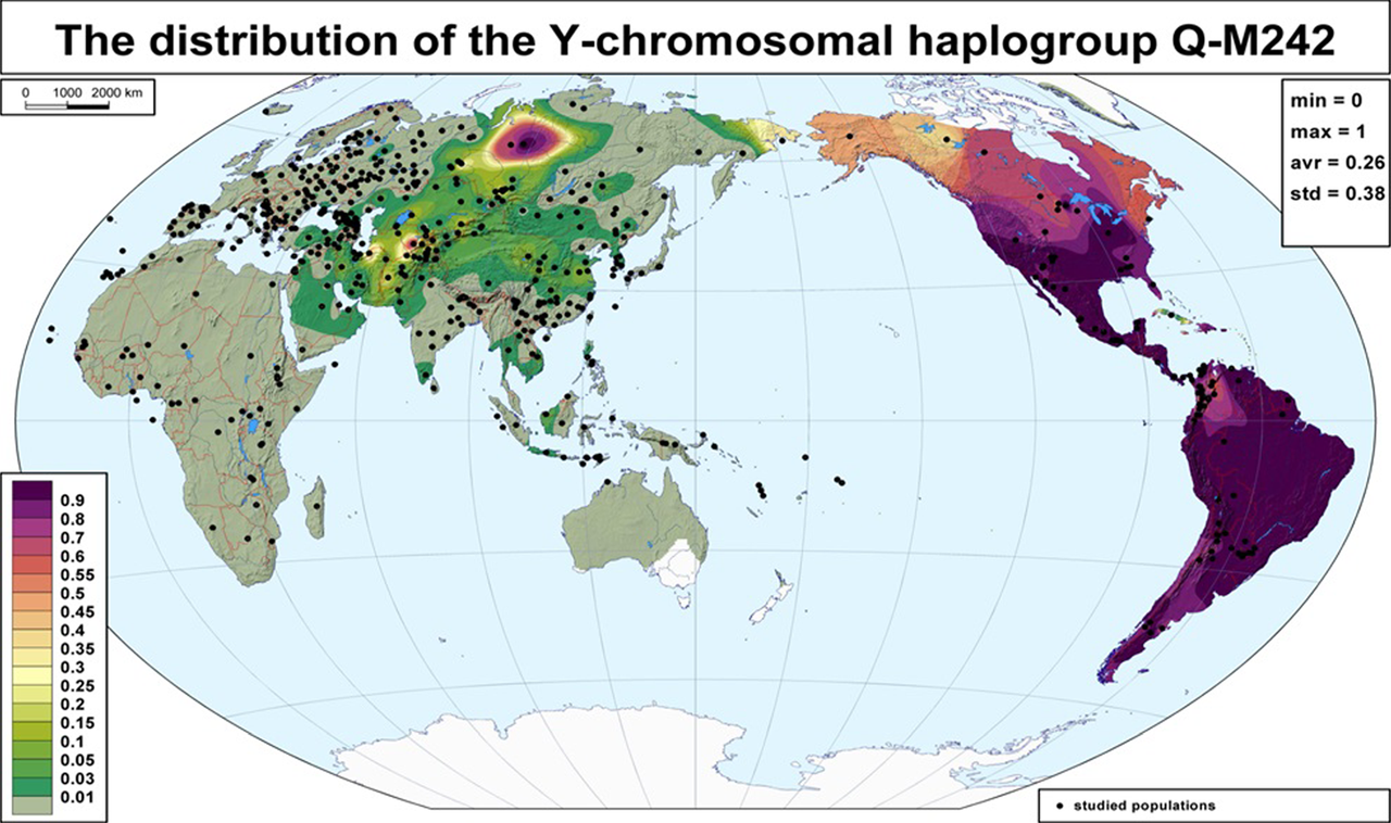 [Image: Global-frequency-distribution-map-of-hap...-Y-DNA.png]