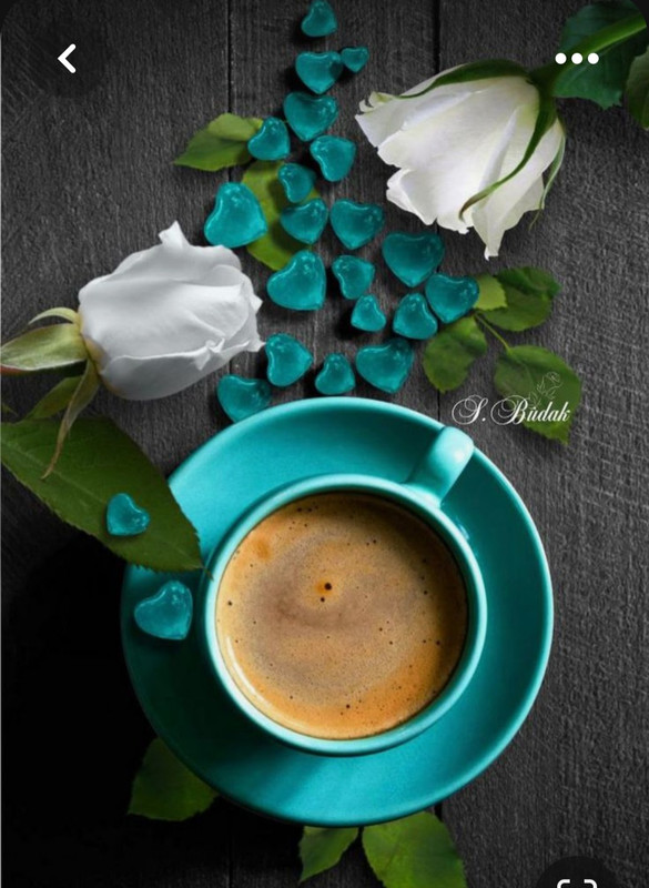 Screenshot_20230710_233838_Pinterest