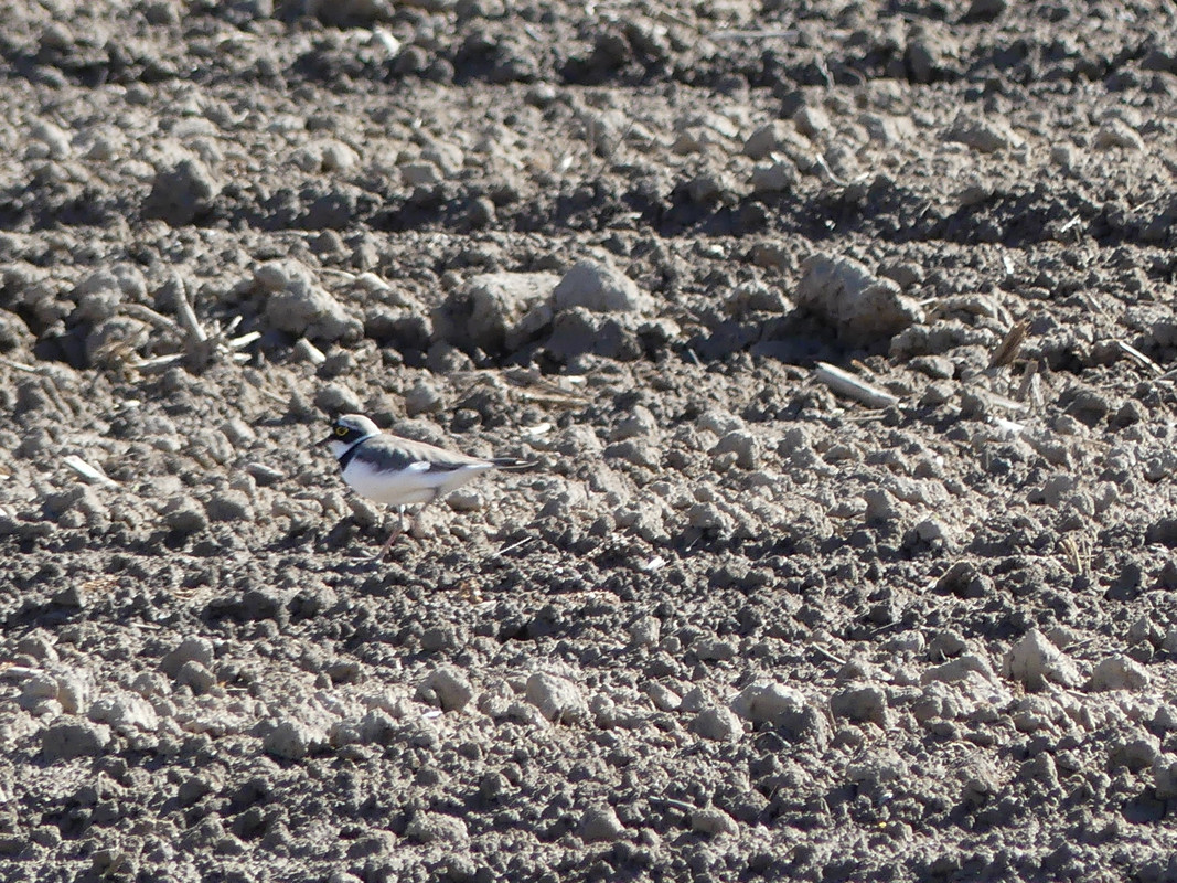 B6771CDF-9C6D-4861-B060-56DF92BC7AFC