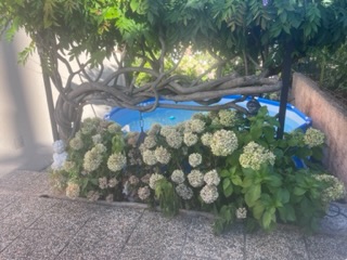 [Image: IMG-5461.jpg]